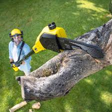 Lawn Pest Prevention in The Crossings, FL